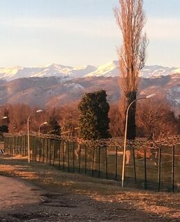 Андрей Демидов