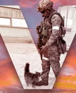 Шамиль Алиев